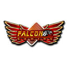 Falcon content services
